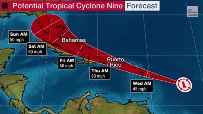 Bahamas temperatures typically cousin